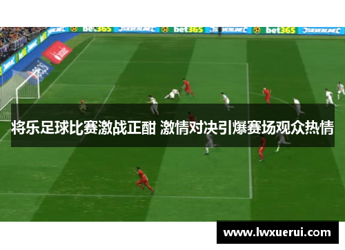 将乐足球比赛激战正酣 激情对决引爆赛场观众热情